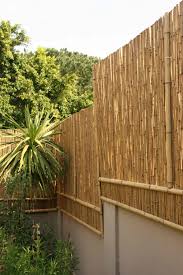 Bamboo in the garden offers a privacy screen fast growing evergreen with leaves, stems or soft sticks. Bamboo Fences Brightfields Natural Trading Company