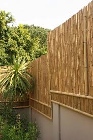 'don't plant bamboo in the ground' advises garden designer melanie hick. Bamboo Fences Brightfields Natural Trading Company