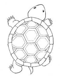 Sea Turtle Pattern Printable How to make a mosaic turtle rock. sea turtle pattern printable
