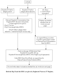 Nw Newborn Clinical Guideline Hepatitis B Vaccination