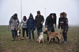Maybe you would like to learn more about one of these? Decouvrez L Education Canine Avant Le Salon Du Chiot Ce Week End A Chartres Chartres 28000