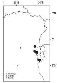 Image result for Leptoderris harmsiana