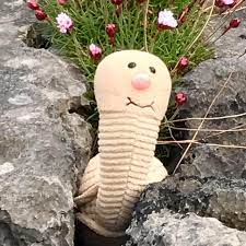 Gogi The Geoduck Posts Facebook