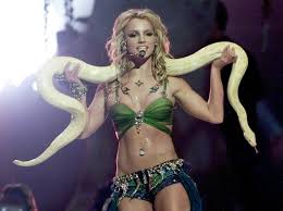 Image result for britney spears python