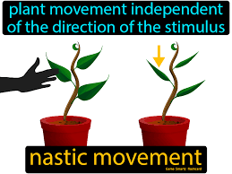 Nastic Movement Flashcard 9th Grade Science In 2020 Science Flashcards Science Student Science Memes