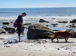 Profile for Meteorologist Dan Guthrie