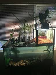 Make One Special Photo Charms For Your Pets 100 Compatible With Your Pandora Bracelets 55 Gallon Tank With 10 Ga Turtle Terrarium Turtle Habitat Turtle Tank