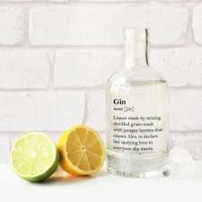 Witty Personalised Gin Definition Decanter Two Sizes Personalised Gin Liquor Glass Liquor