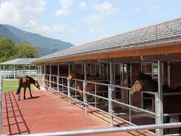 Paddocks And Runs Pferd Reiten Pferdeboxen