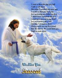 For anyone grieving the death of a pet, the pain can be overwhelming. Dog Prayer To Heaven A Miracle For My Dog