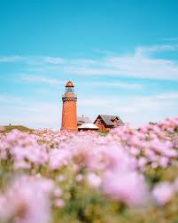 We did not find results for: Most Unique Lighthouses In Denmark Visitdenmark