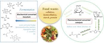 It's a meal all in one! Value Added Chemicals From Food Supply Chain Wastes State Of The Art Review And Future Prospects Sciencedirect