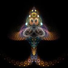 Search free trippy wallpapers on zedge and personalize your phone to suit you. Psychedelic Mushroom Wallpaper Magic Mushroom By Pumayana