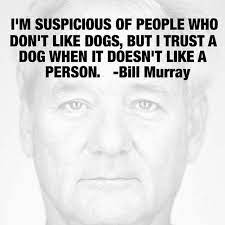 Iim suspicious of people who don't like dogs, butitrust a dog when it doesnit like a person. Pin On Bill Murray