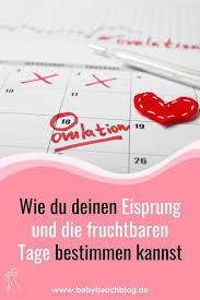 Ihre fruchtbaren tage rund um den eisprung sind hauptsächlich von ihrem normalen zyklus abhängig. Wie Du Den Zeitpunkt Deines Eisprungs Und Deine Fruchtbaren Tage Bestimmen Kannst Babybauch Blog