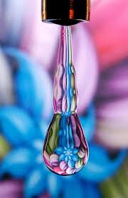 Water Drops Photographer Dave Wood Beautiful Macro Photography Macro Photography Color Splash