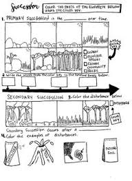 Primary And Secondary Succession In 2020 Secondary Succession Teaching Biology Science Education