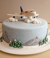 Winni provides best online cake, flowers and gifts delivery services across 600 cities in india. Plane Cake Photos