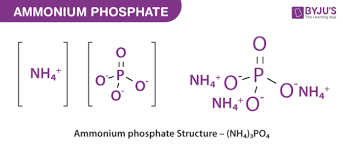 Ammonium Phosphate Nh4 3po4 Structure Molecular Mass Properties And Uses Of Ammonium Phosphate