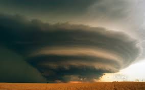 Image result for Deborah Lynn Ferrier