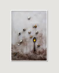 Erthe trading experts in manufacturing and exporting baby apparel organic baby clothes gots certified baby apparel verified suppliers on turkishexporter. Shop Fine Art Photographic Prints Australia Erthe Co