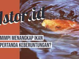 Mimpi Menangkap Ikan Mas Togel Apa Bagaimana
