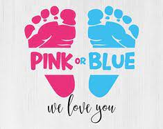 Download 59 Gender Reveal Svg Ideas In 2021 Gender Reveal Svg Gender Reveal Gender