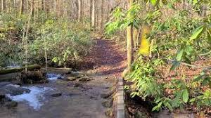The cherokee national forest is a united states national forest located in the u.s. Hike To Donley Cabin Info In Link Youtube