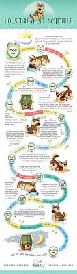 Potty Training Schedule How To Housebreak A Puppy Infographic House Training Puppies Potty Training Puppy Puppies