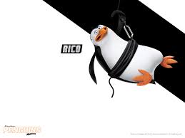 Folge deiner leidenschaft bei ebay! Dreamworks Animation S Penguins Of Madagascar Die Pinguine Aus Madagascar Rico 1920x1440 Wallpaper Teahub Io