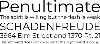 Different computer fonts have names, and you can identify them by their features. Font Squirrel Montserrat Font Free By Julieta Ulanovsky