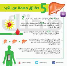 معلومات مهمة عن الكبد medical posters medical words medical facts