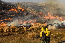 Los incendios forestales continúan azotando a la provincia de córdoba desde finales de julio. Incendios En Cordoba El Mapa De La Devastacion En Las Sierras En Los Ultimos 30 Anos