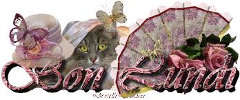 Résultat de recherche d'images pour "images dentelledelune"