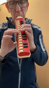 Just picked up my first melodica at an antique shop, last weekend. Hohner  alto from the 1970s, I believe.