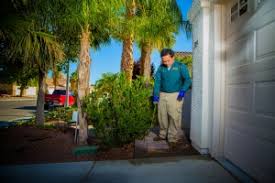 Las vegas pest control's mission is to be the valley's most professional pest control firm. Las Vegas Scorpions Las Vegas Pest Control