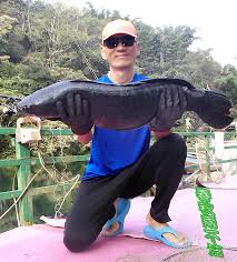 1,542 likes · 12 talking about this. é­šè™Ž æ³°åœ‹é±§é­šçš„é‡£æ³• é¢¨é›ªäº­ ç—žå®¢é‚¦