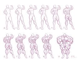 Size Chart 5 Muscle By Moxydoxy Art References