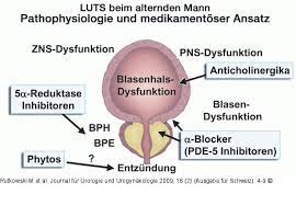 Der neurochirurg beschäftigt sich als facharzt mit operativen eingriffen des zentralen, peripheren und vegetativen nervensystems. Abbildung 1 Bps
