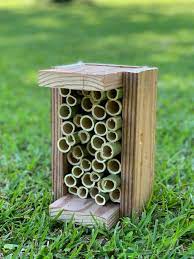 How To Build A Ladybug House Only Passionate Curiosity