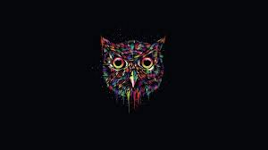 Multicolored Owl Illustration The Dark Background Owl Paint Minimalism Owl 1080p Wallpaper Owl Wallpaper Black Background Wallpaper Cute Owls Wallpaper