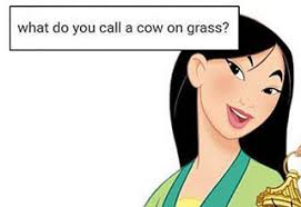 Due to complaints, hawaii passed a law where you're not allowed to laugh above a certain decibel. 23 Puns From Tumblr That Are Bound To Make You Laugh Funny Gallery