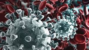 Epidemias e seus impactos na história da humanidade | leandro karnal. Endemia Epidemia Y Pandemia Definiciones Y Diferencias Actualidad Es