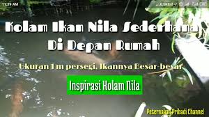 Berikut adalah info harga ayam broiler hari ini yang akan menetukan laba rugi yang peternak ataupun kemitraan dapatkan, terlebih lagi saat ini harga jd sulit untuk di tebak di karenakan over supply doc dan banyaknya kemitraan berikut adalah daftar harga ayam broiler hari ini senin 9 agustus 2021. Update Harga Telur Ayam Ras Hari Ini Senin 21 Juni 2021 Youtube