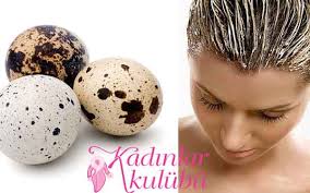Bildircin Yumurtasi Ile Sac Guclendirme Maskesi Kadinlar Kulubu