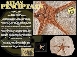 Site, base, sites, seastar, website, starfish, split pie, water jar. Tapak Sulaiman