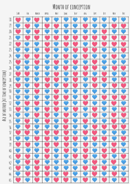 Chinese Chart Gender Predictor