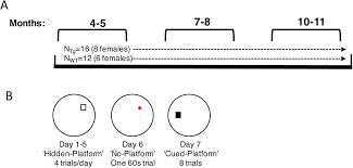 Progressive Impairment Of Directional And Spatially Precise