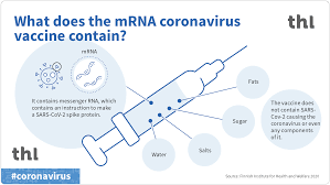 After transfection, they drive transient. Mrna Vaccines Faq Infectious Diseases And Vaccinations Thl