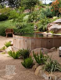 Wasser Im Garten Backyard Pool Landscaping Backyard Landscaping